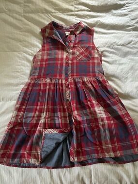 hinge Red and Blue Plaid Sleeveless Button-Front Dress